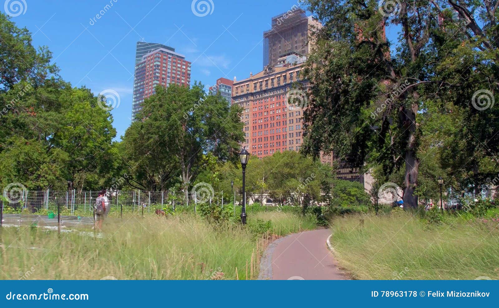 New York Battery Park Gardens Stock Footage Video of park, manhattan