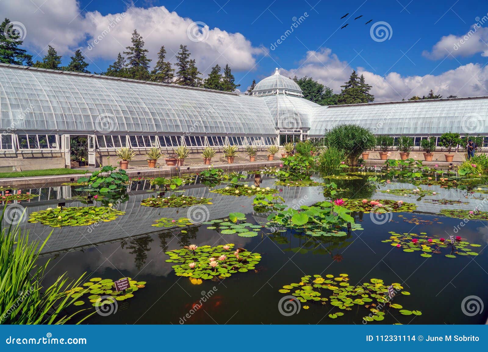 The New York Botanical Garden Editorial Stock Image Image Of