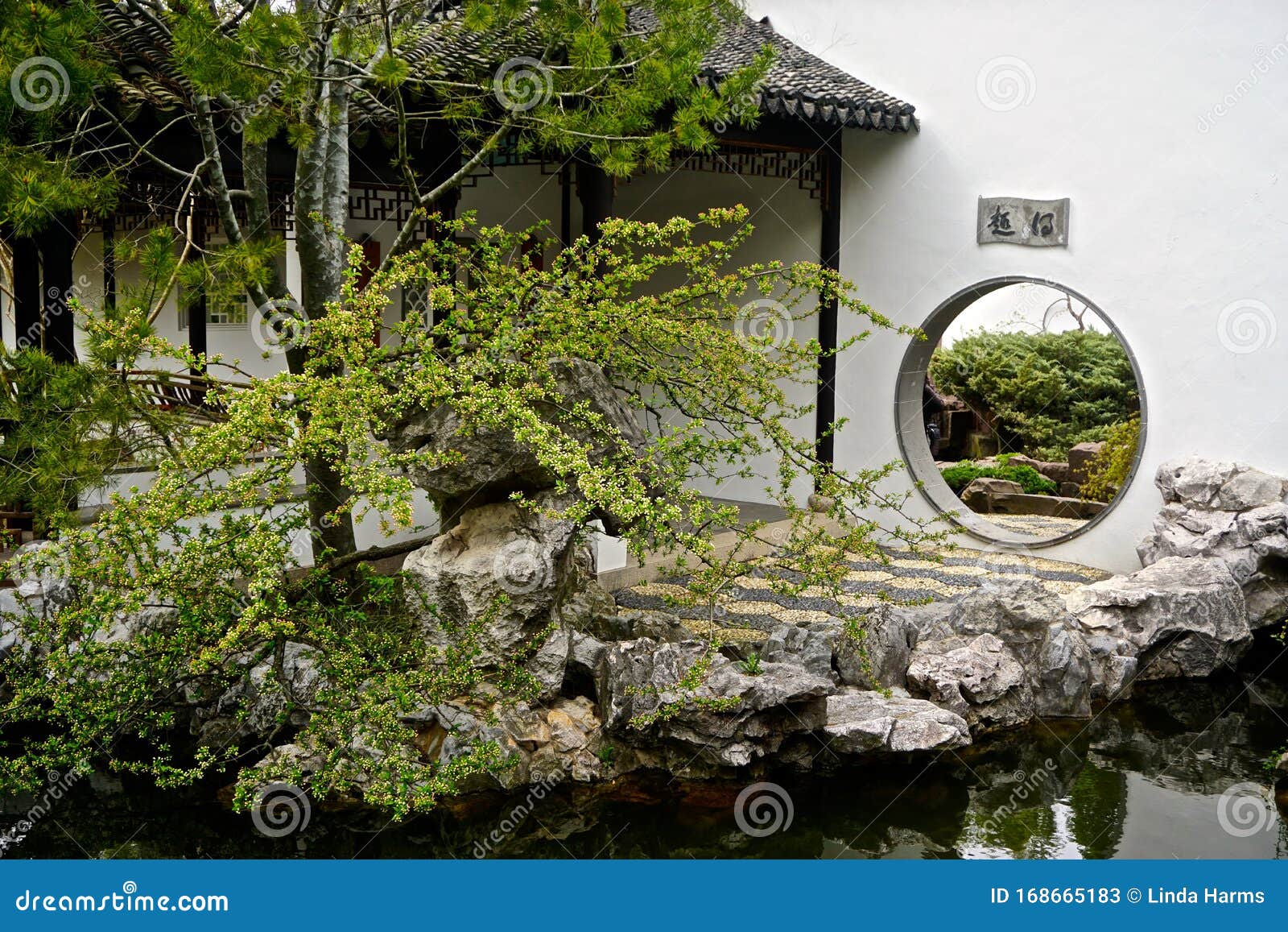 The New York Chinese Scholar S Garden At The Snug Harbor Cultural