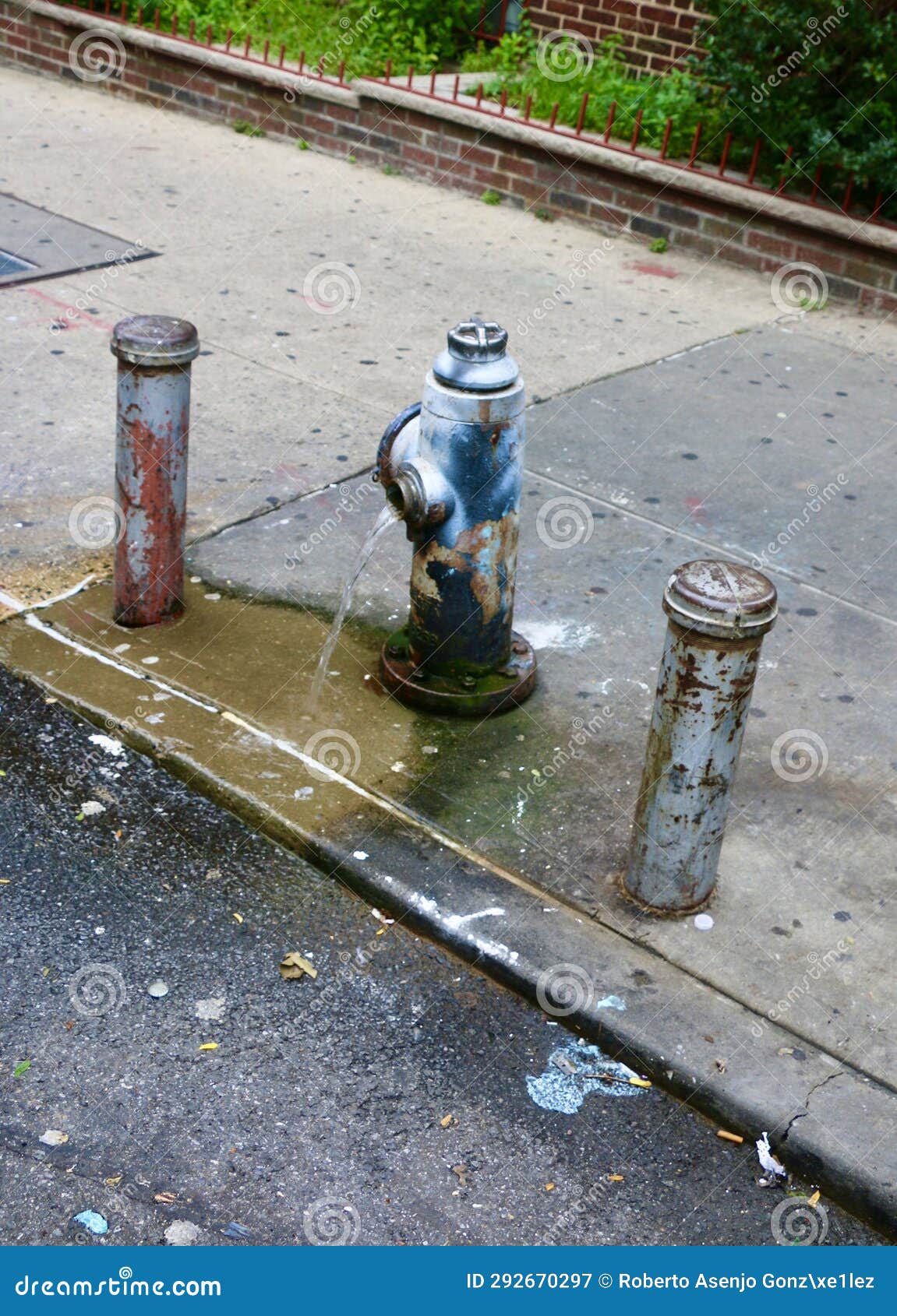 new york city fire hydrants.
