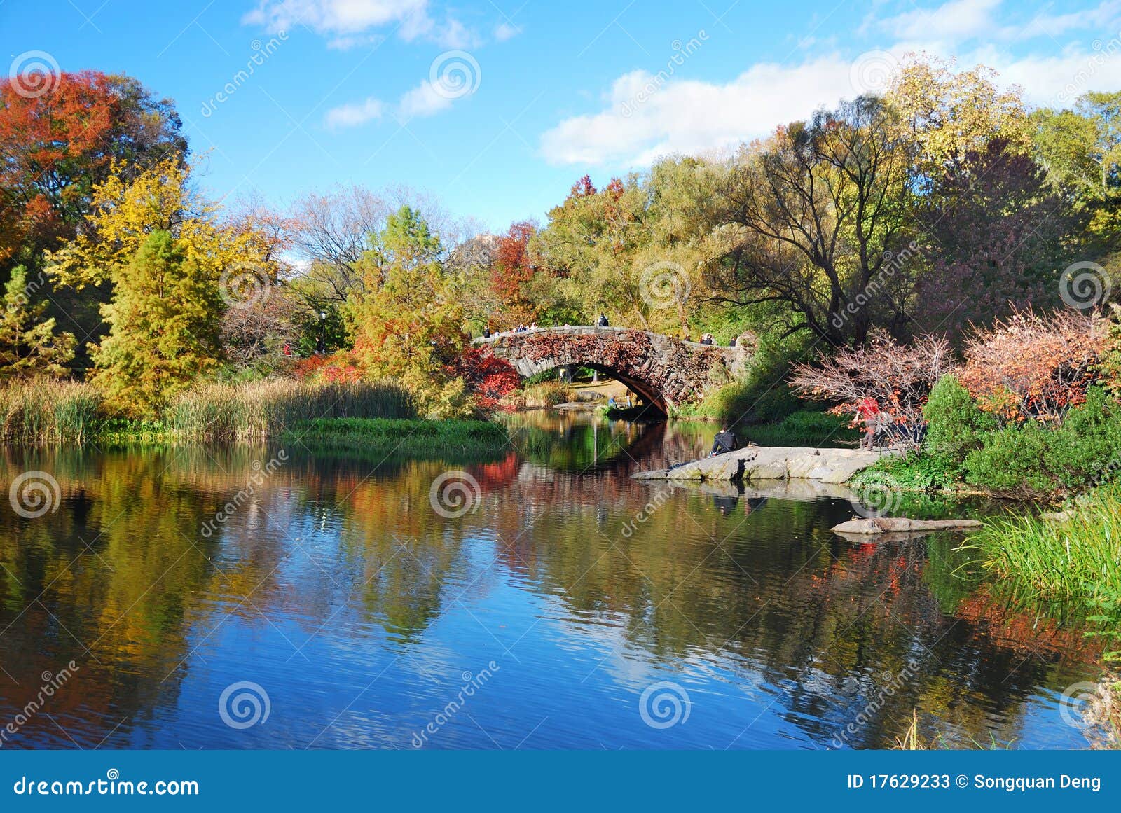 New York City Manhattan Central Park Stock Image - Image of pond ...