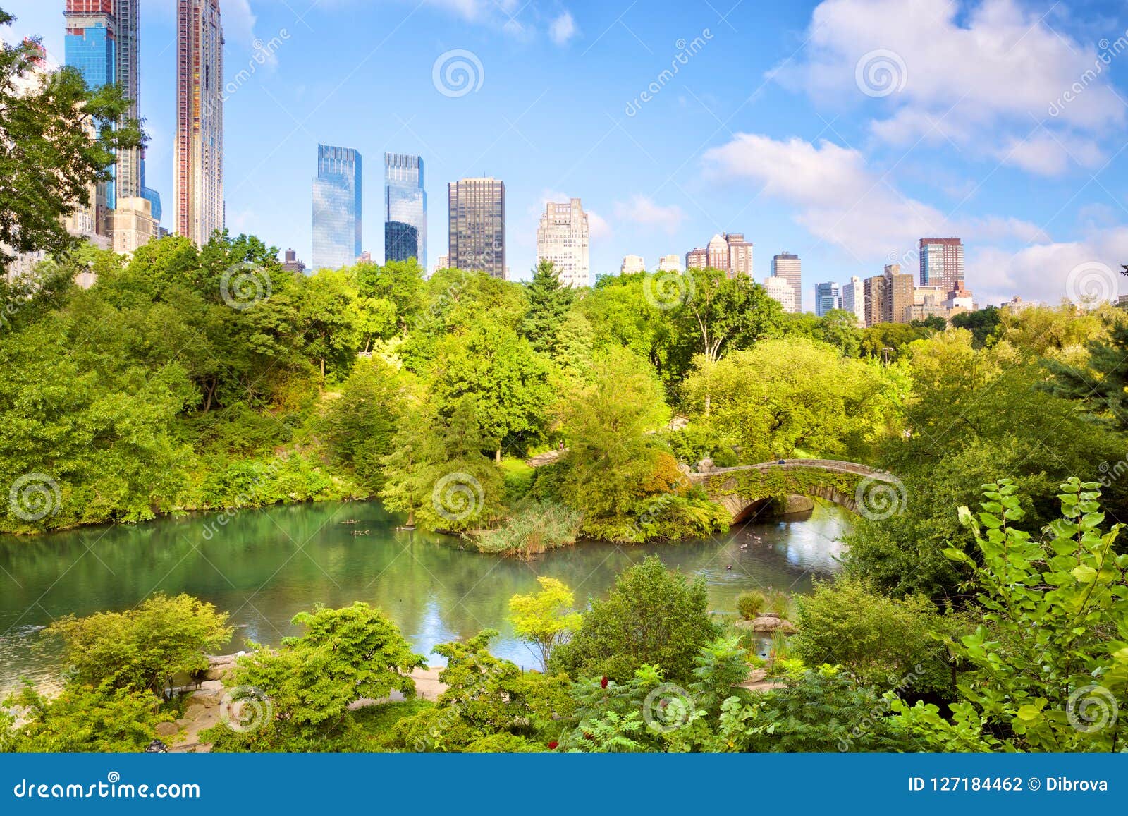 New York City Manhattan Central Park Stock Photo - Image of blue ...