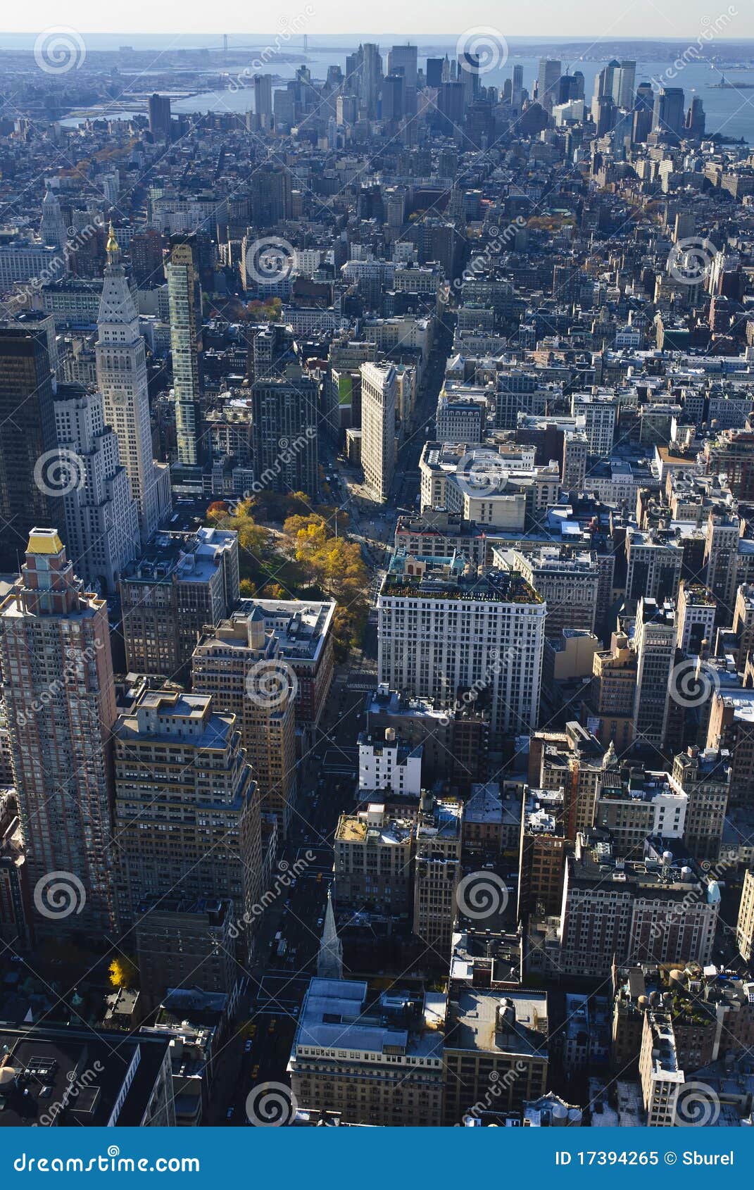 New York City Skyline from the empire state building