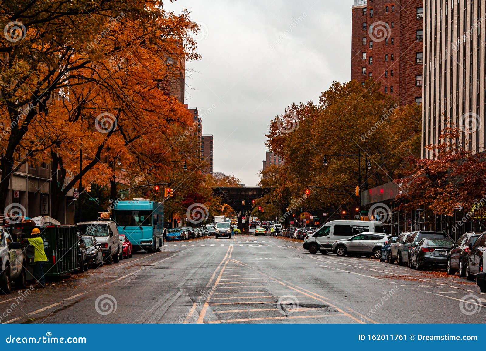 New York City Street View In The Autumn Editorial Photo Image Of Dogs Croton New York City Street View In The Autumn Editorial Photo Image Of Dogs Croton