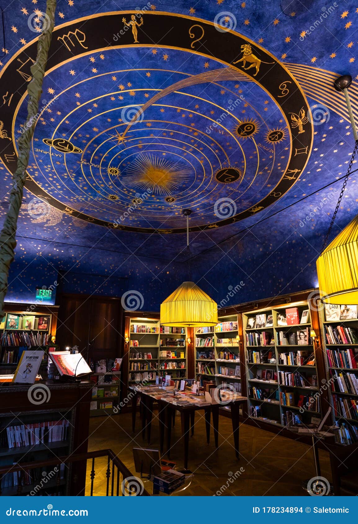 NEW YORK- JANUARY 17: Children&#39;s Section of the Albertine Bookstore Editorial Stock Image - Image of books, vaulted: 178234894