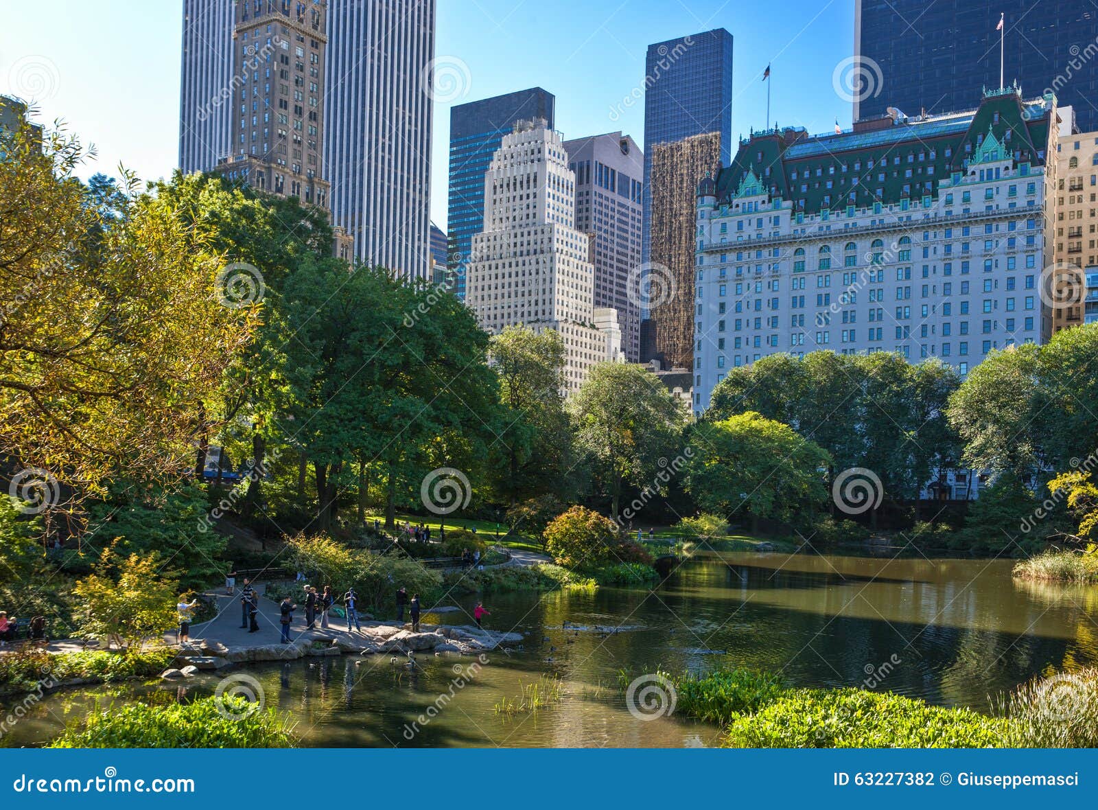 New York editorial photography. Image of vegetation, nature - 63227382