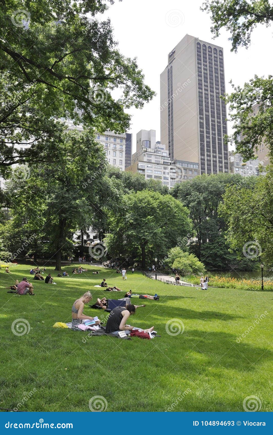 New York, 1st July: People Relaxing in Central Park in Midtown ...