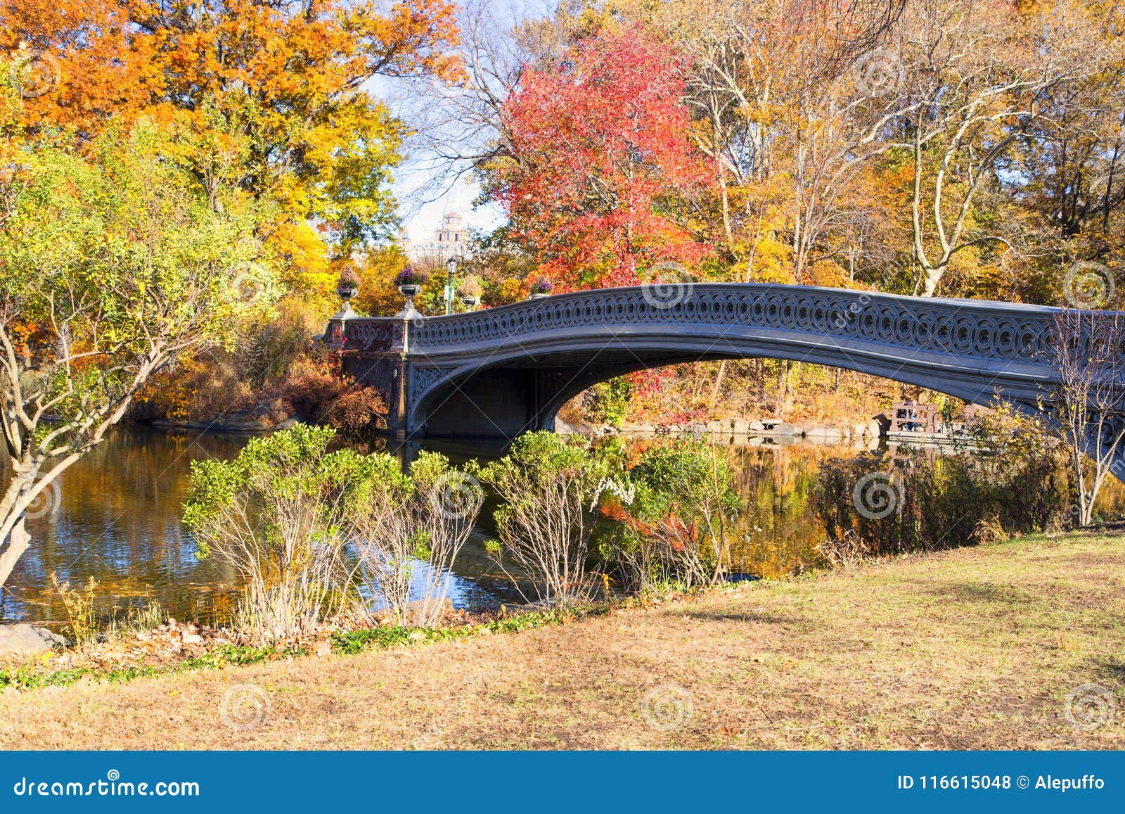 New York, Central Park stock photo. Image of cityscape 116615048