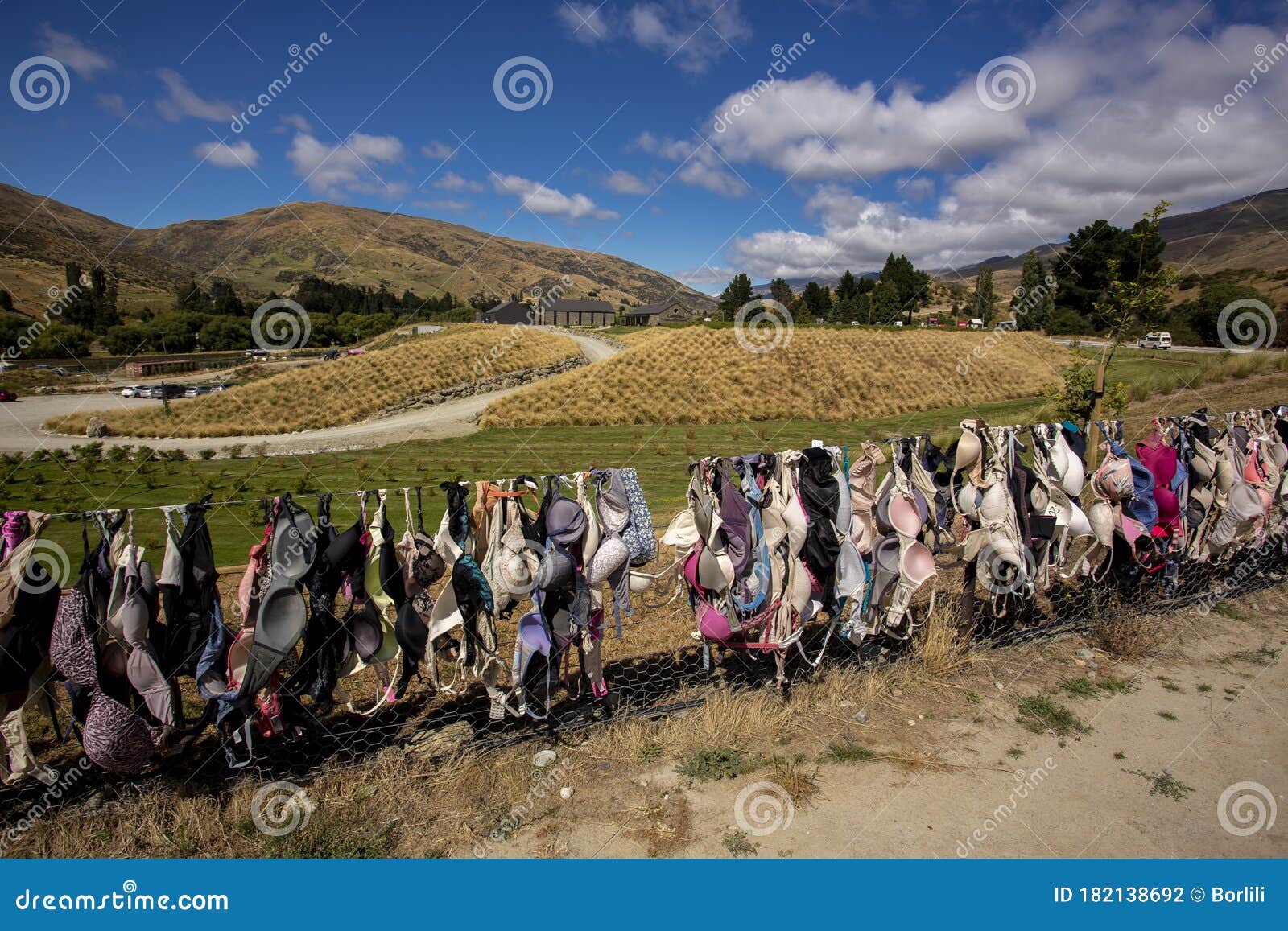 Cardrona Bra Fence - Wikipedia