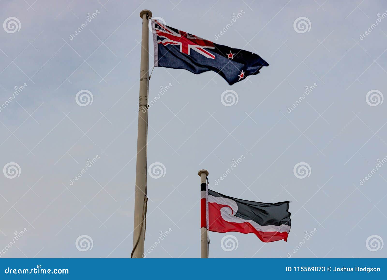 174 Maori Flag Photos Free Royalty Free Stock Photos From Dreamstime 174 Maori Flag Photos Free Royalty Free Stock Photos From Dreamstime
