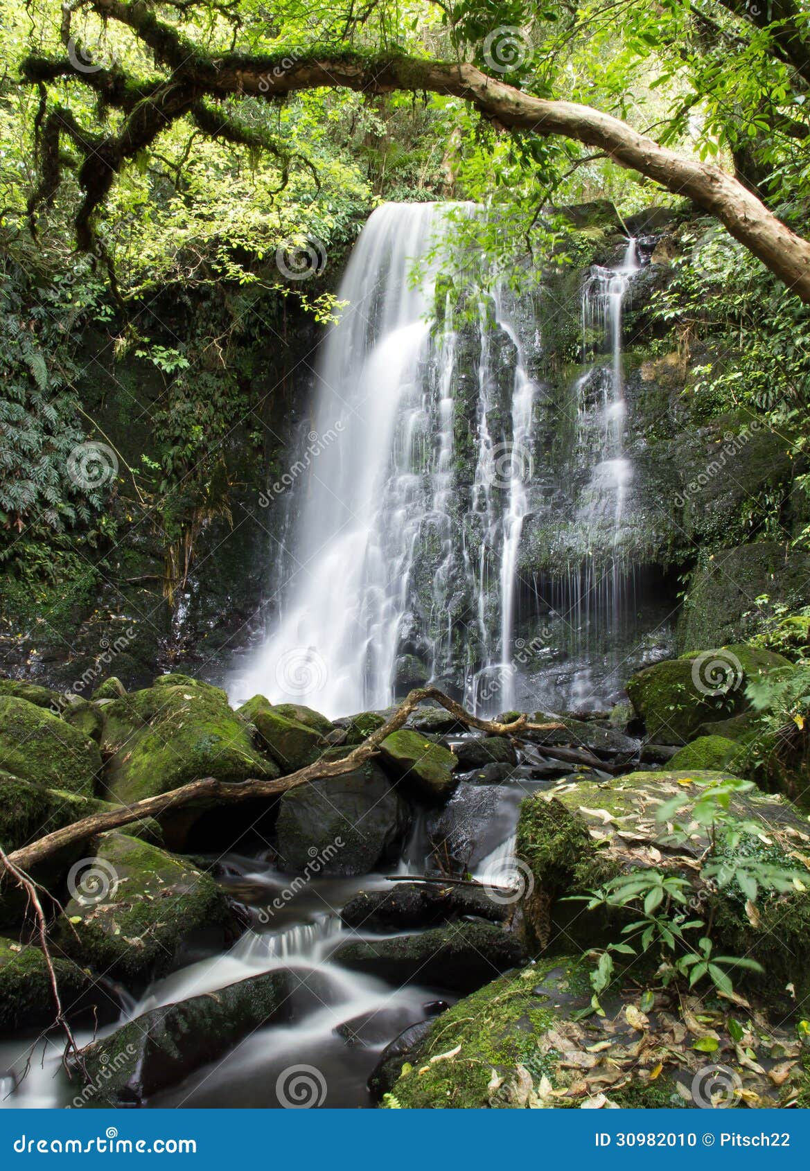 Matai Falls Stock Photos - Free & Royalty-Free Stock Photos from Dreamstime