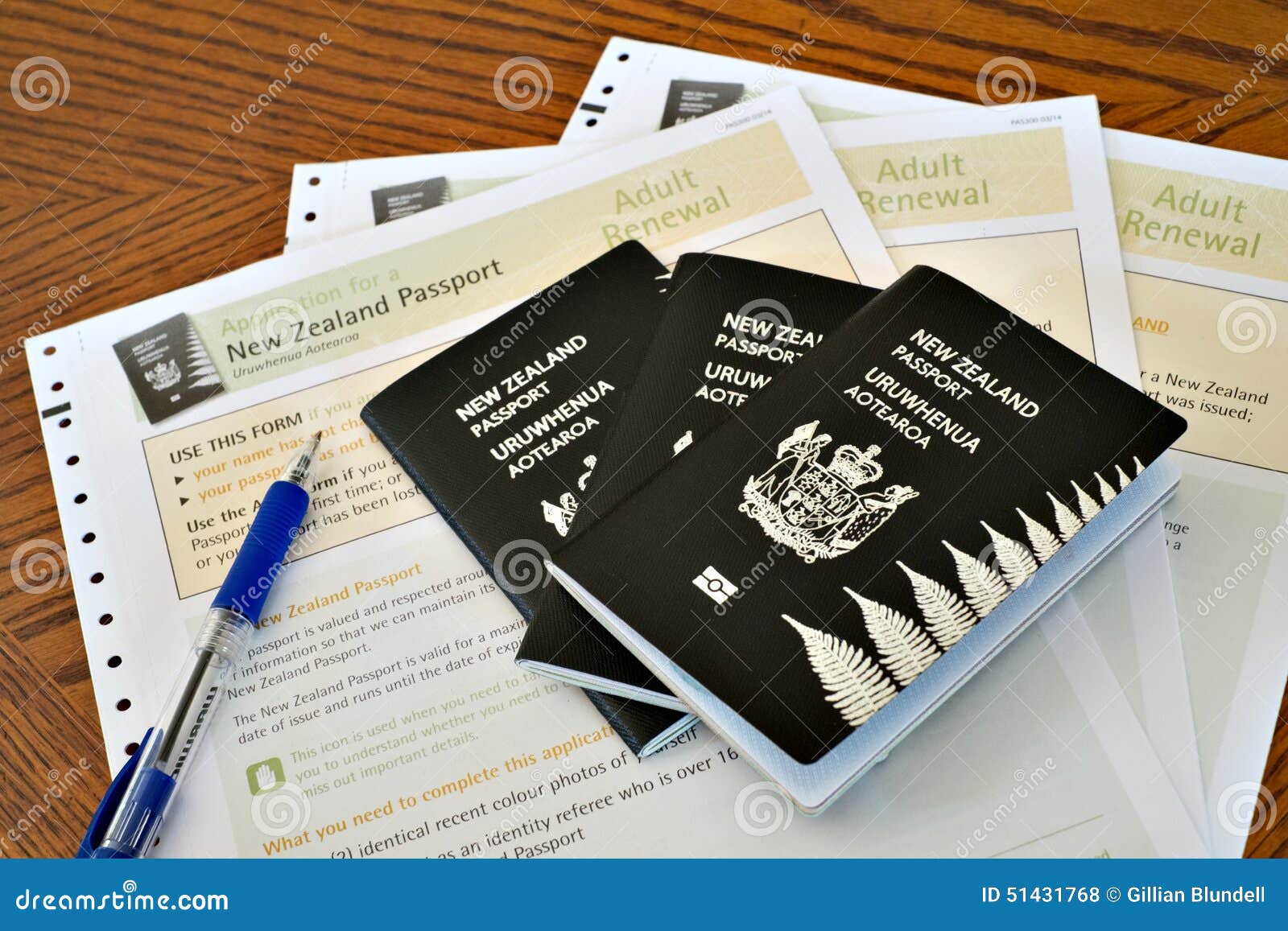 New passport form