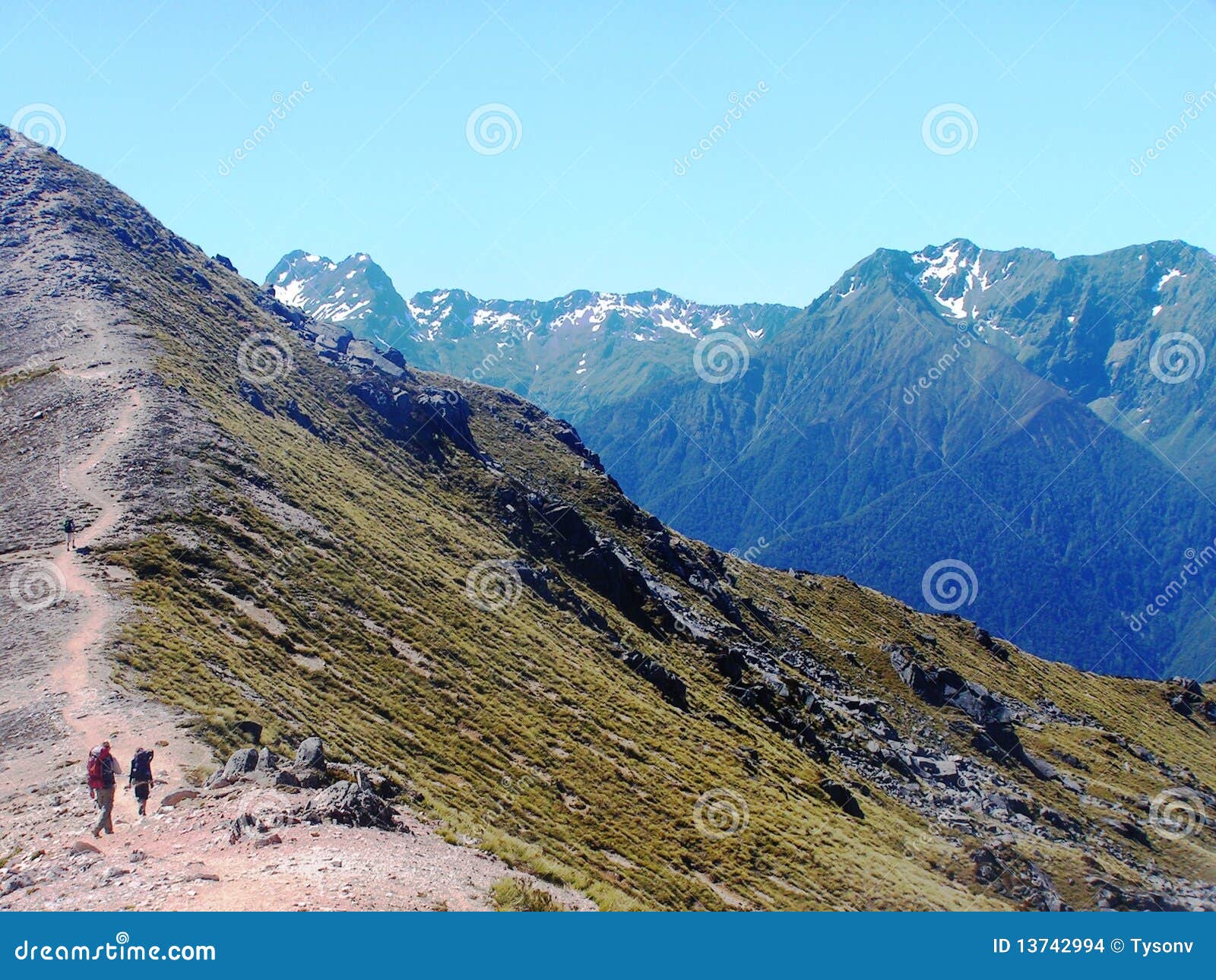 new zealand southern alps mountains 13742994