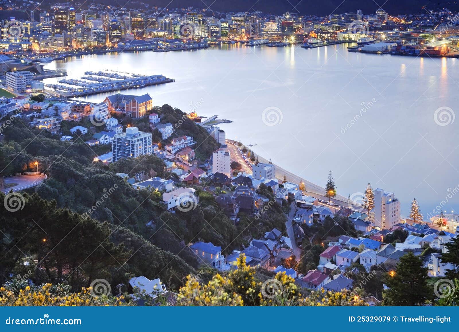 new zealand wellington twilight over cbd