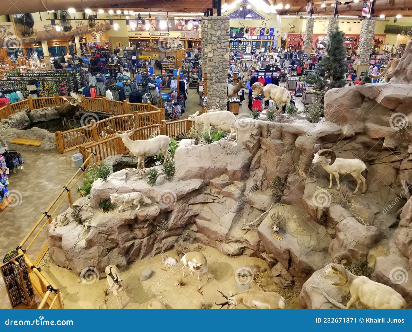 Newark, Delaware, U.S.a June 14, 2021 the Display Inside of Cabela