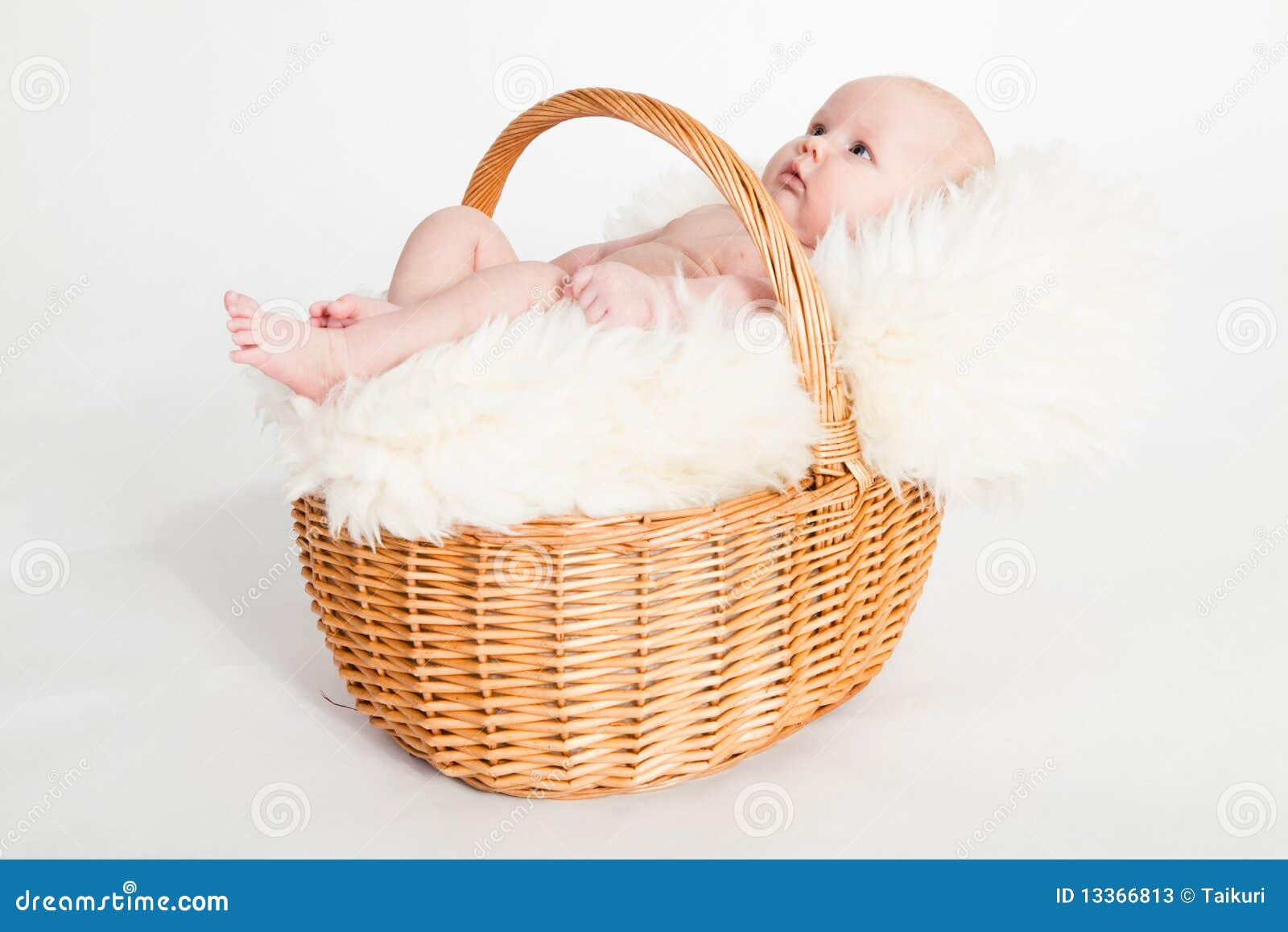 Newborn Baby in a basket stock image. Image of newborn 13366813