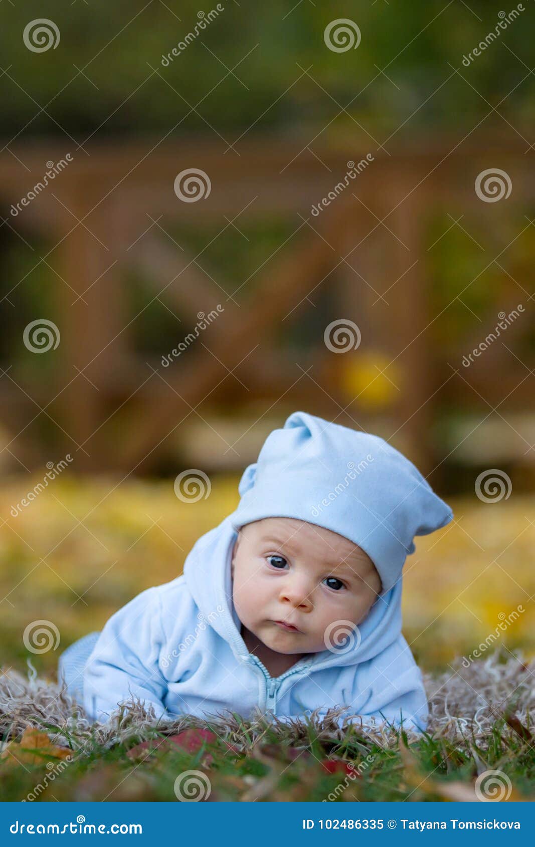 Newborn Baby Boy, Curiously Lifting His Head, Looking ...