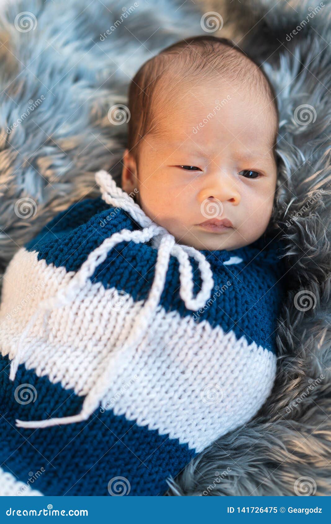 Newborn Baby Boy Swaddled In A Knit Wrap On Fur Bed Stock Image Image