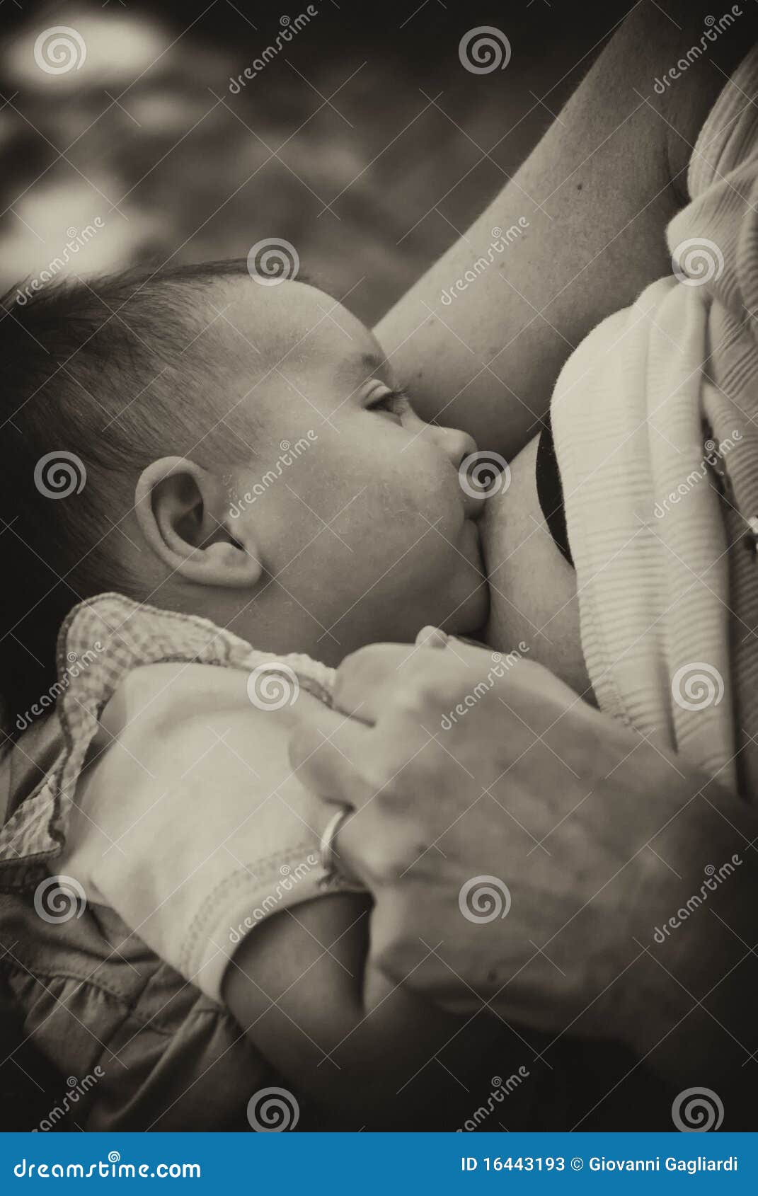 Newborn Baby Breastfeeding stock image. Image of infant 16443193