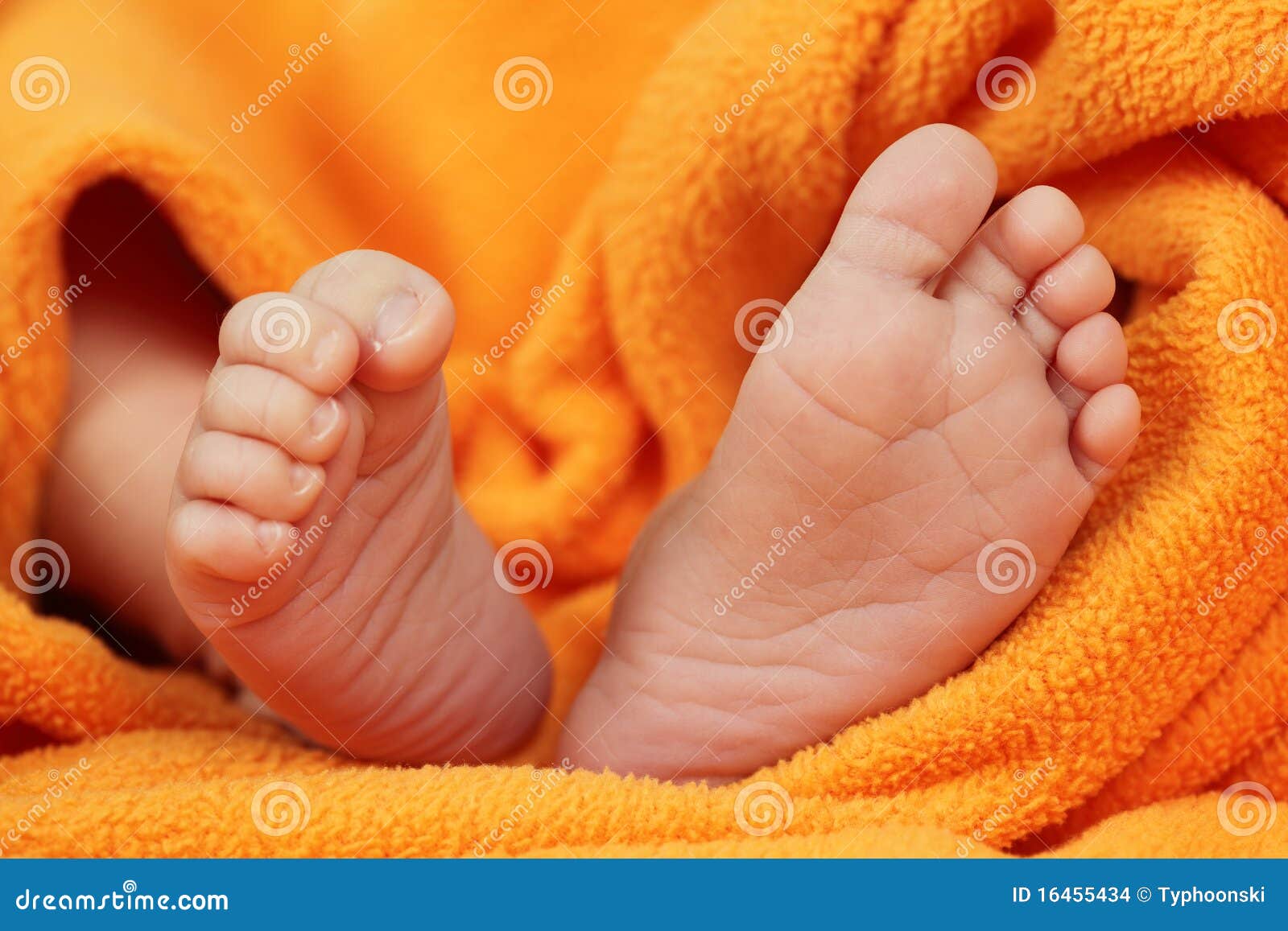 Newborn baby feet stock photo. Image of little, closeup 16455434