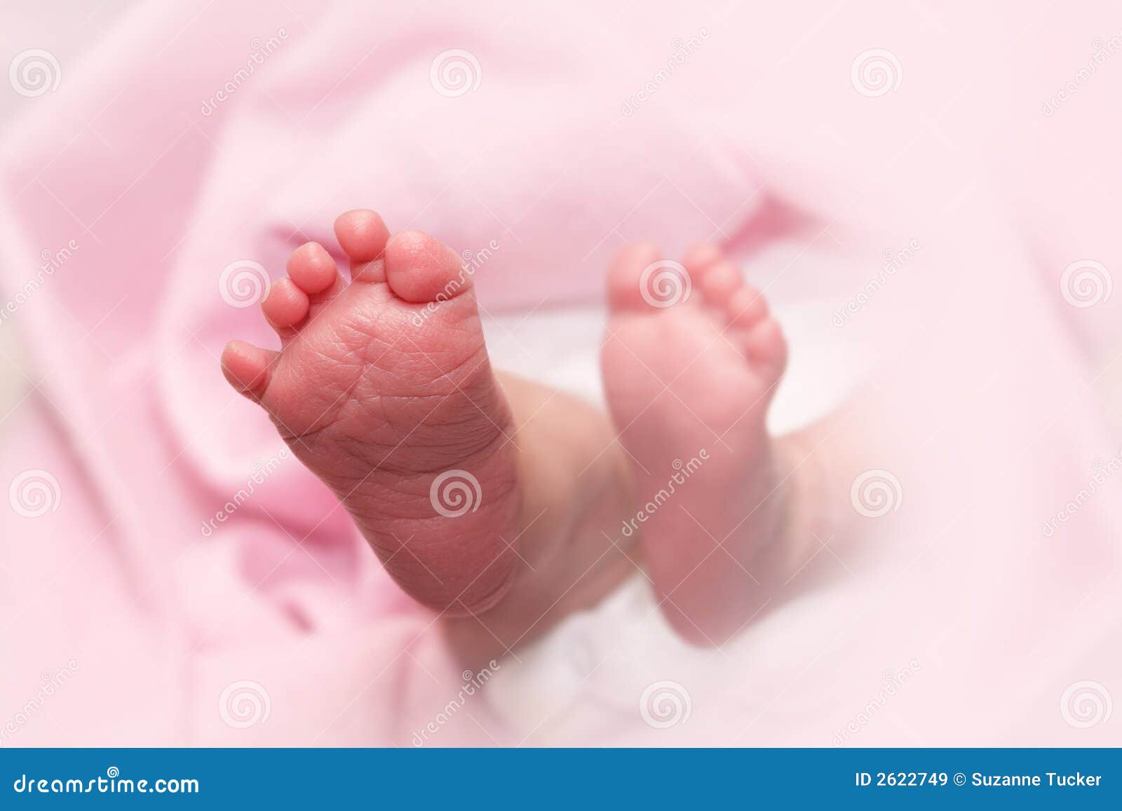 Newborn baby feet stock image. Image of pink, infant, born 2622749