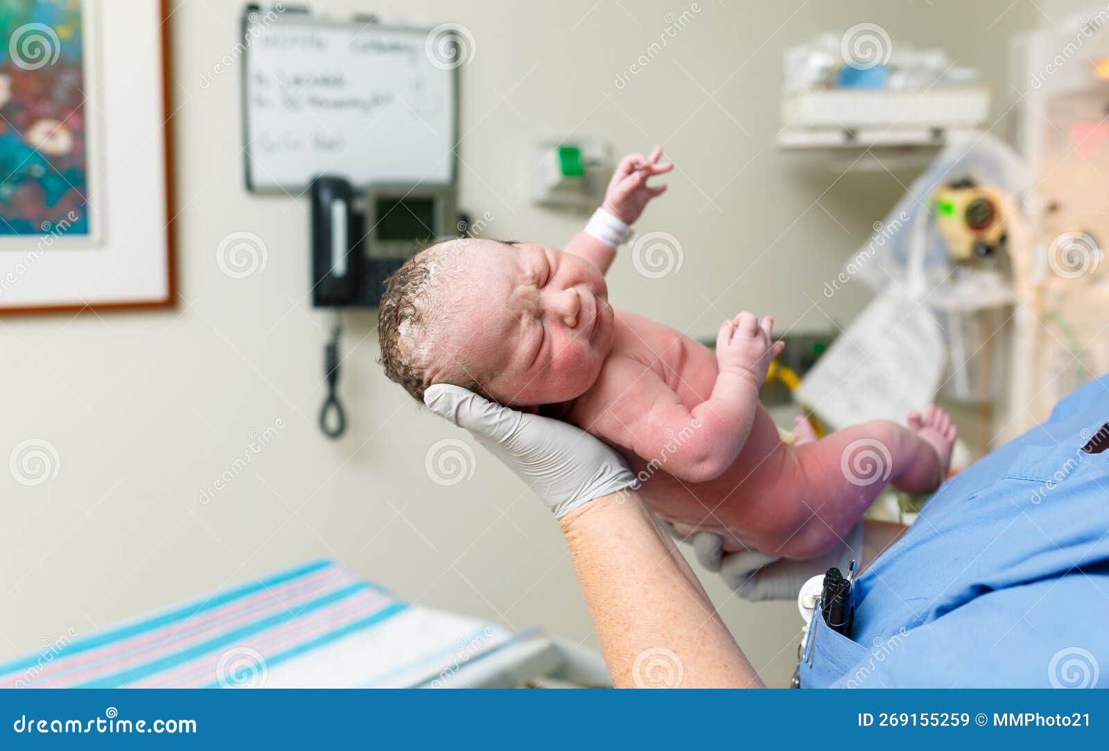 Newborn Baby Just Born Being Held by Nurse in Hospital Labor and