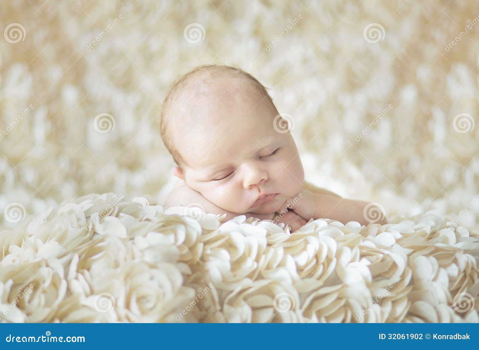 Newborn Baby Laying on Belly Stock Photo Image of daughter, life 32061902