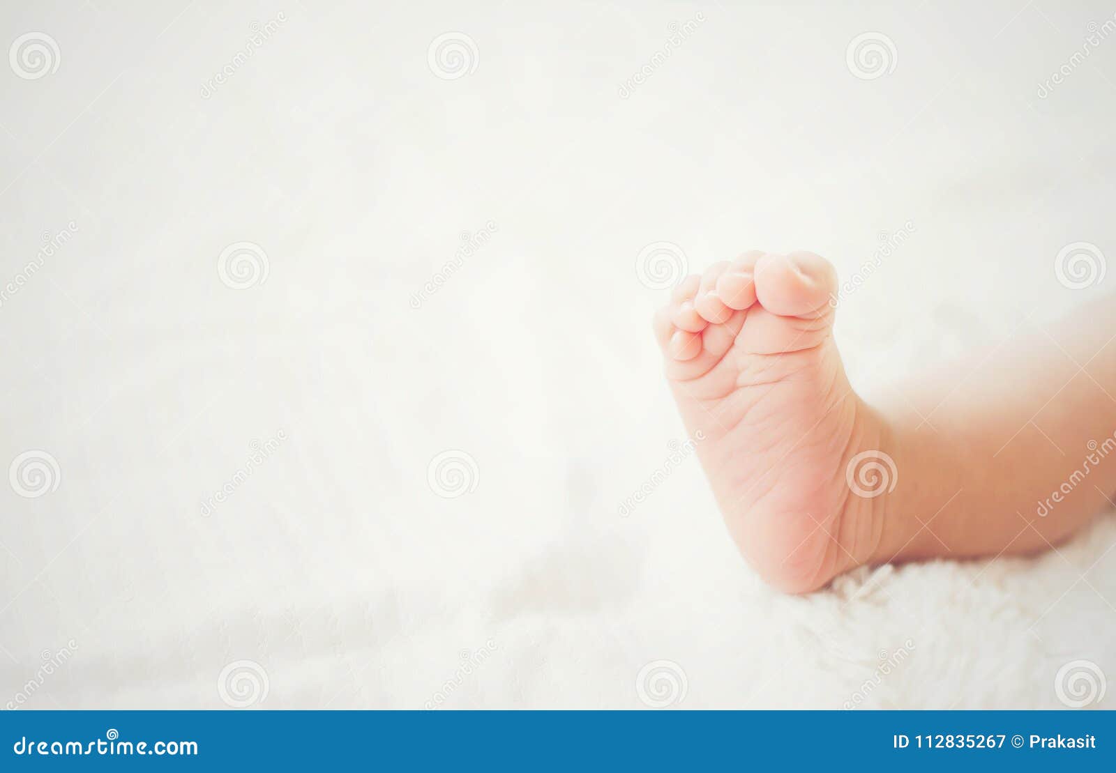 Newborn Baby Legs on White Bed. Stock Image Image of newborn
