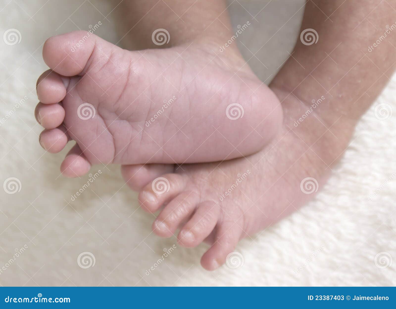 Newborn Baby`s Feet in a Blanket Stock Image Image of skin, cute