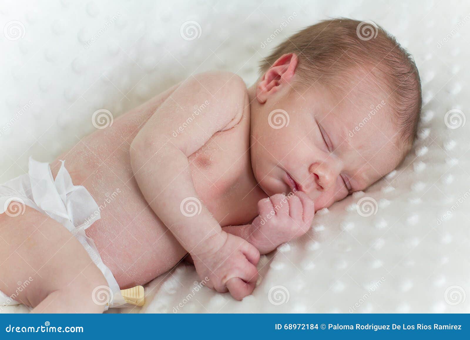 Newborn Baby Sleeping on a Blanket Stock Photo Image of bauty, cuddly