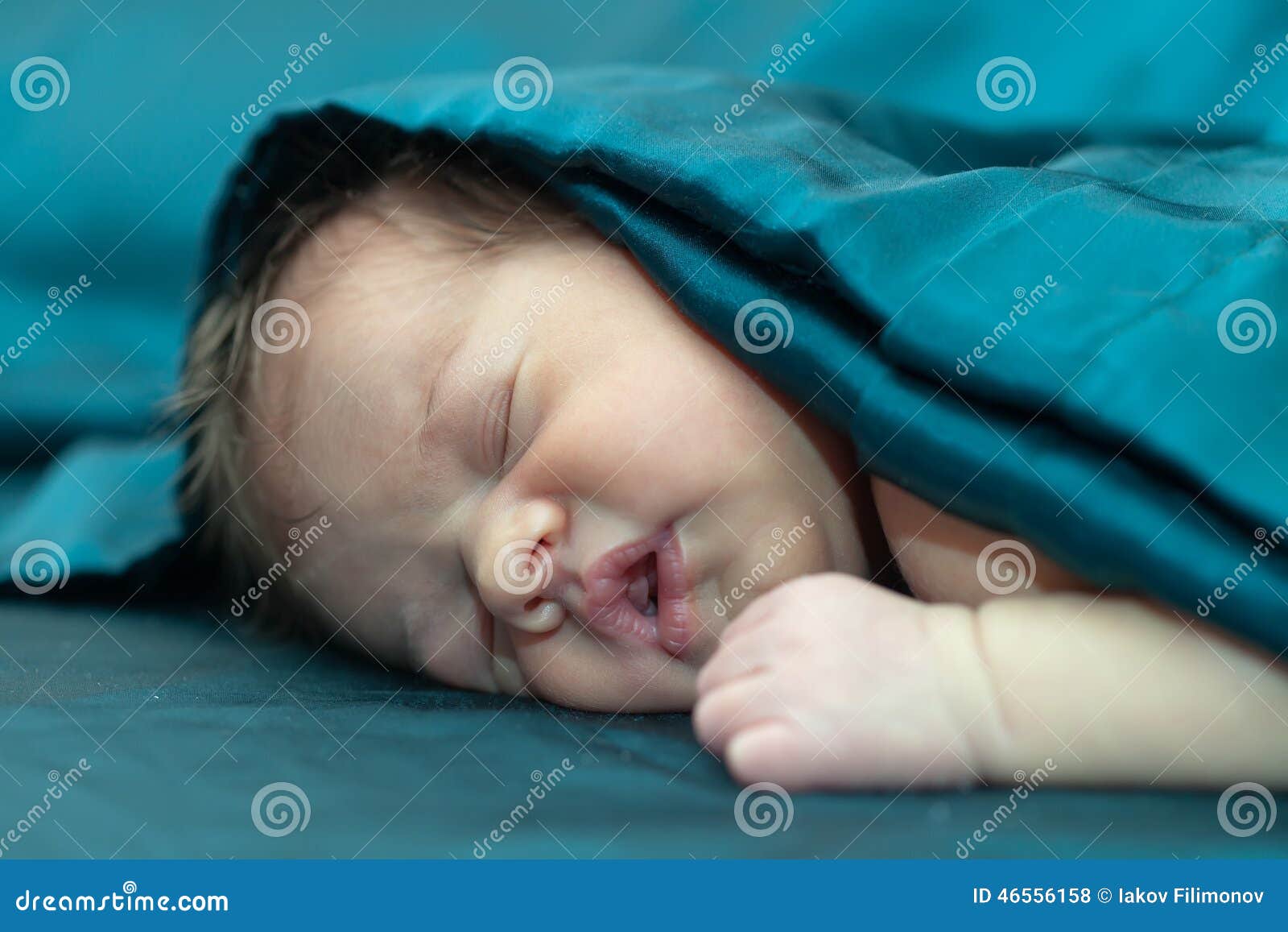 Newborn baby stock photo. Image of calm, girl, quiet 46556158