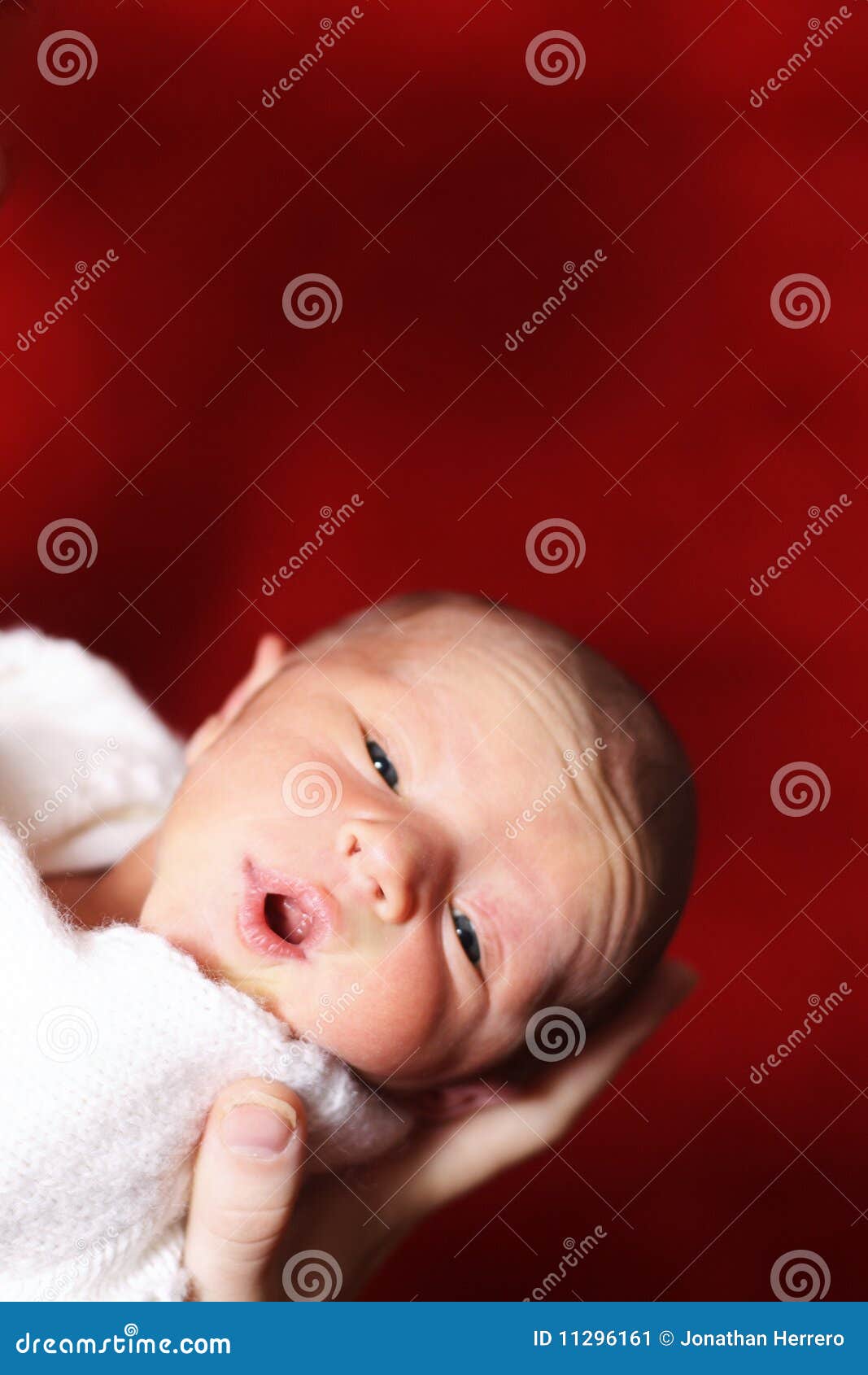 Newborn baby waking up stock image. Image of awaking 11296161