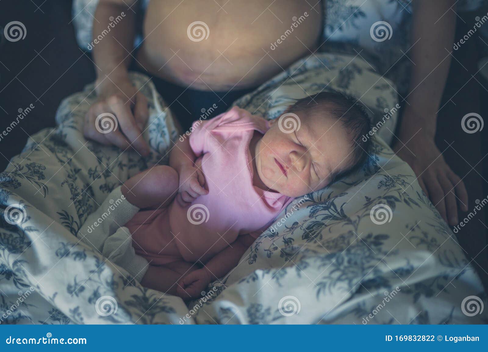 Newborn Sleeping in Lap of Mother Stock Photo Image of relaxing