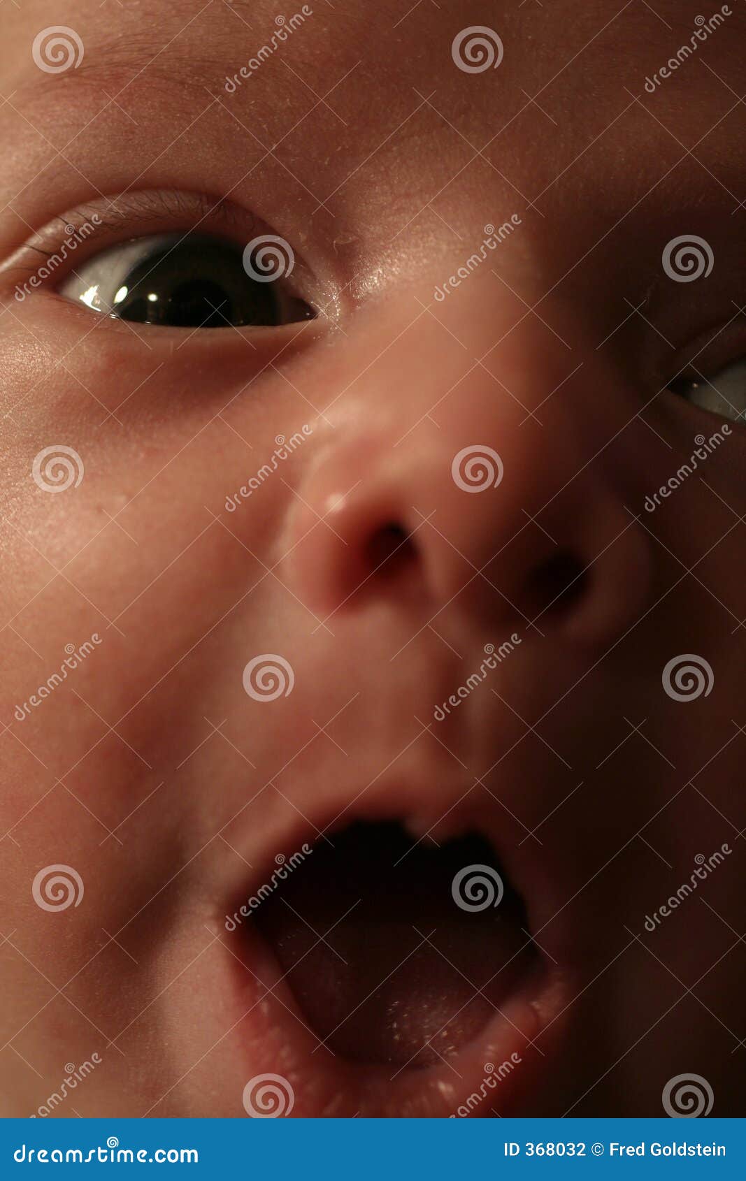 Newborn eye stock photo. Image of peaceful, sleeping, resting 368032