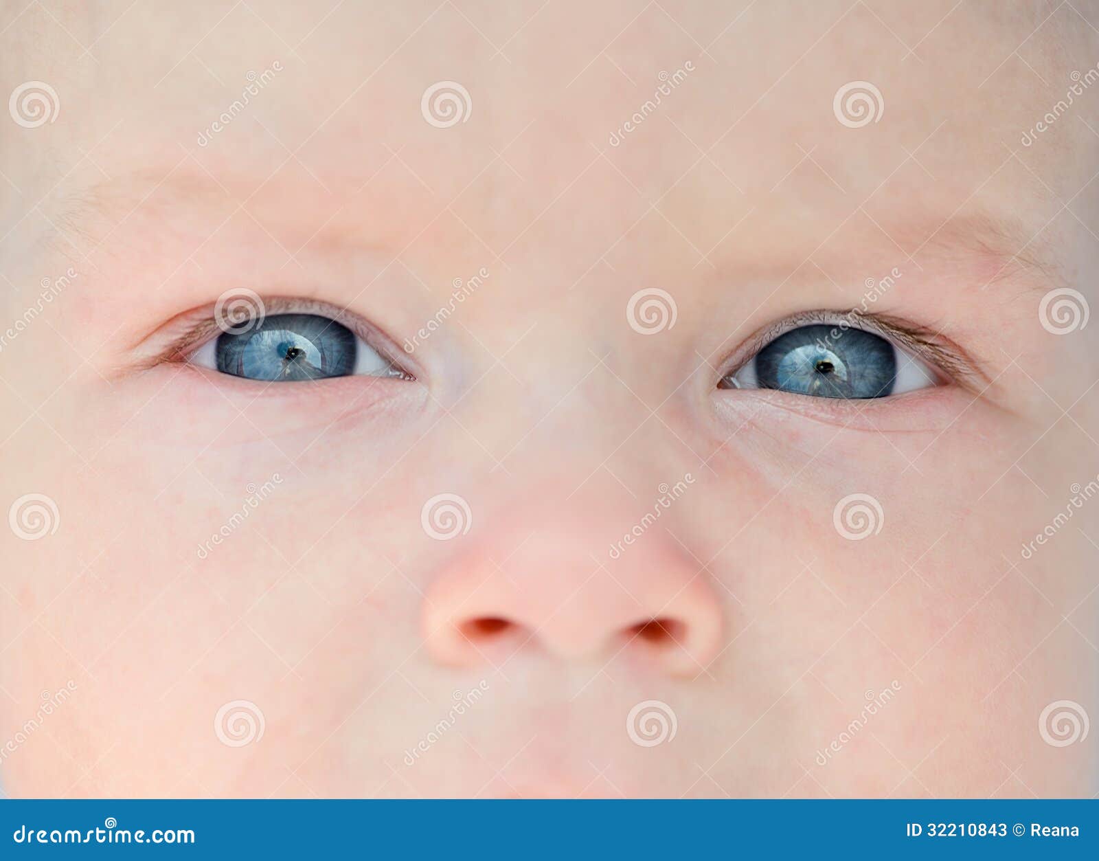 Newborn eyes and nose stock image. Image of girl, nature 32210843