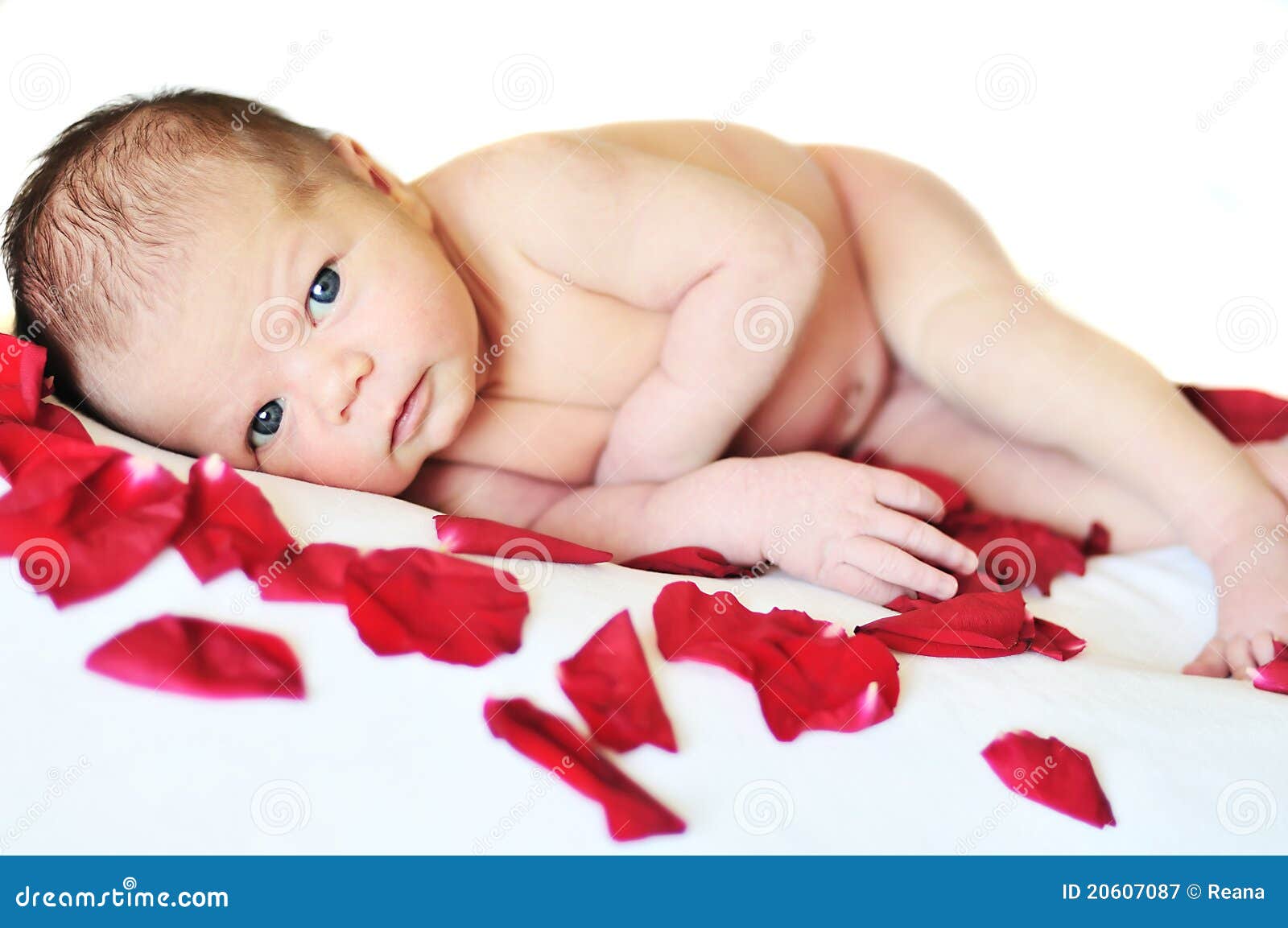 Newborn girl stock image. Image of cute, child, laying 20607087