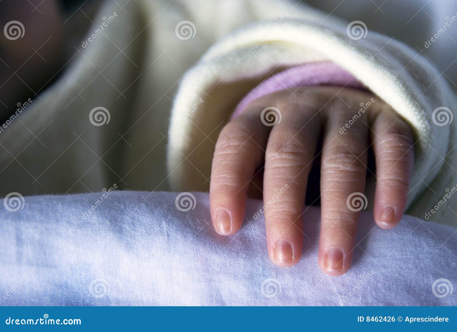Newborn hand stock photo. Image of love, family, babe 8462426
