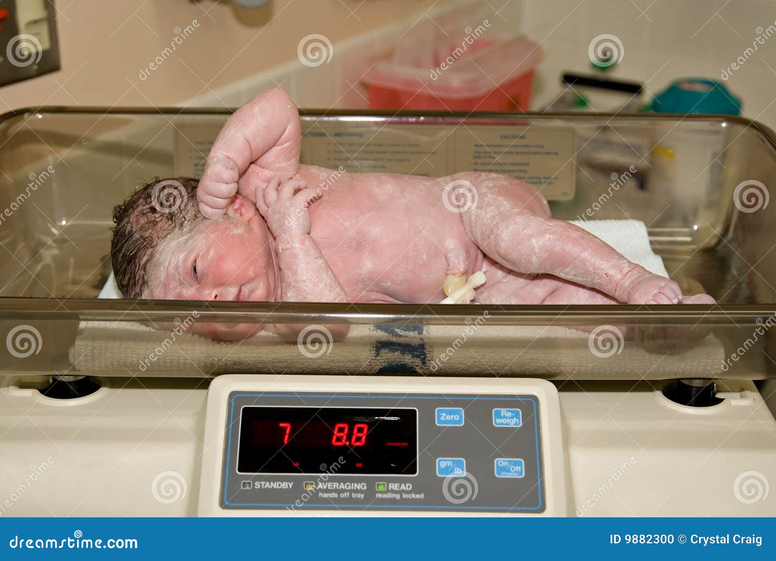 960 Newborn Baby Scale Photos - Free 