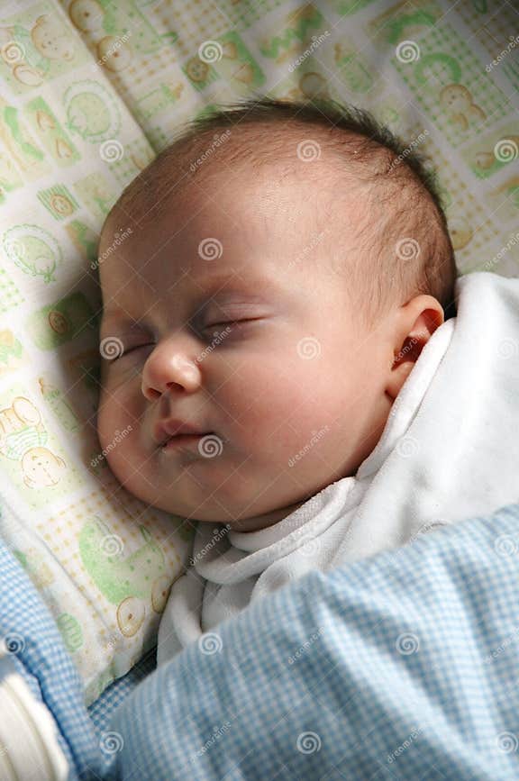Newborn Sweet sleeping stock photo. Image of hand, happiness 8815494