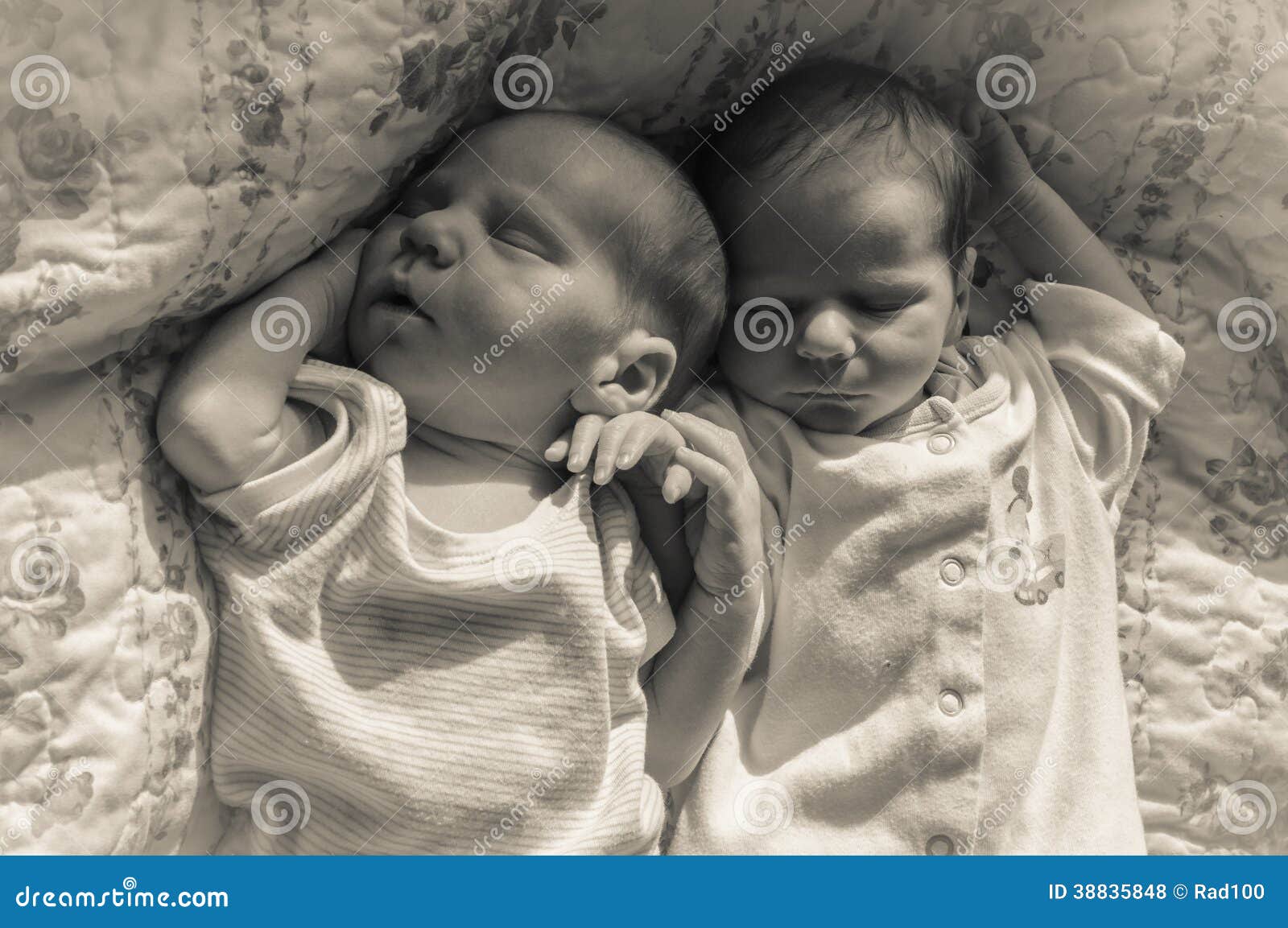 Newborn twins sleeping stock photo. Image of babe, face 38835848