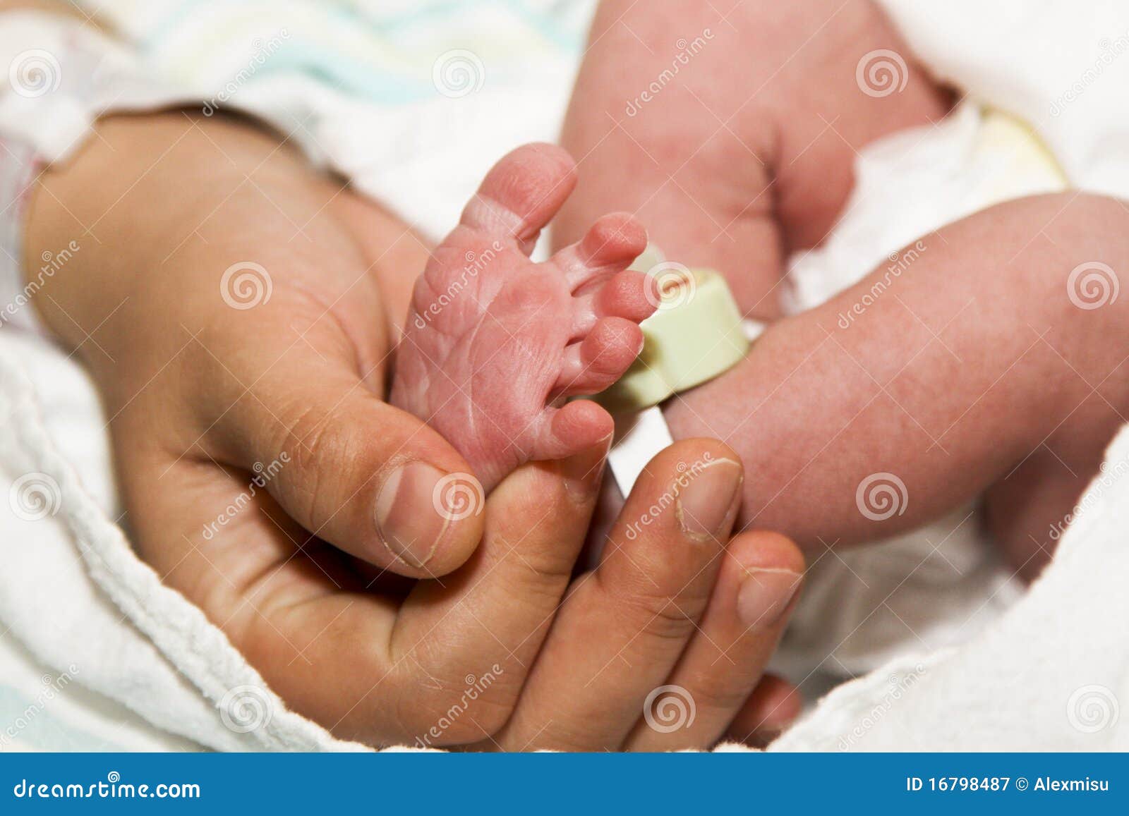 Newborns foot stock image. Image of legs, foot, thumb 16798487