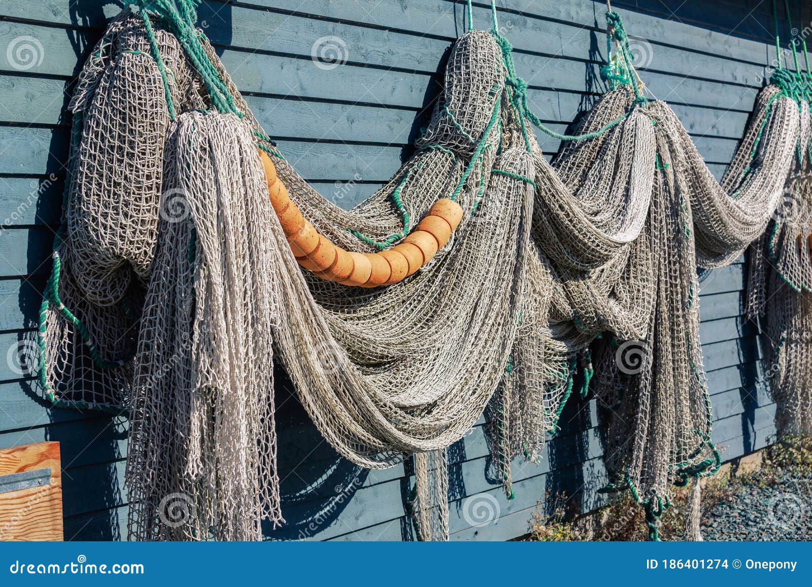 Newfoundland fish nets stock photo. Image of dangling - 186401274