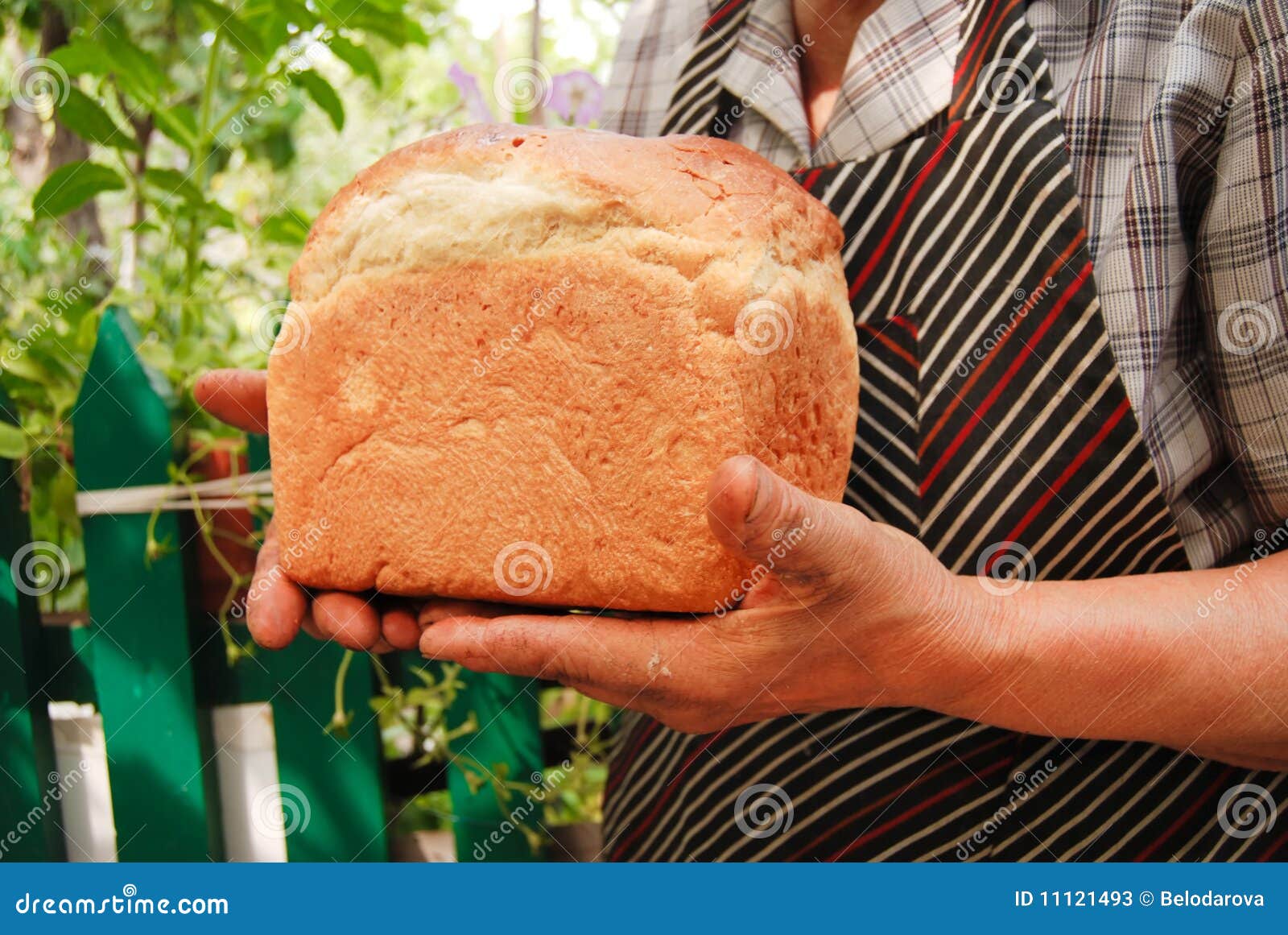 Newlybaked bread stock image. Image of newly, fresh 11121493