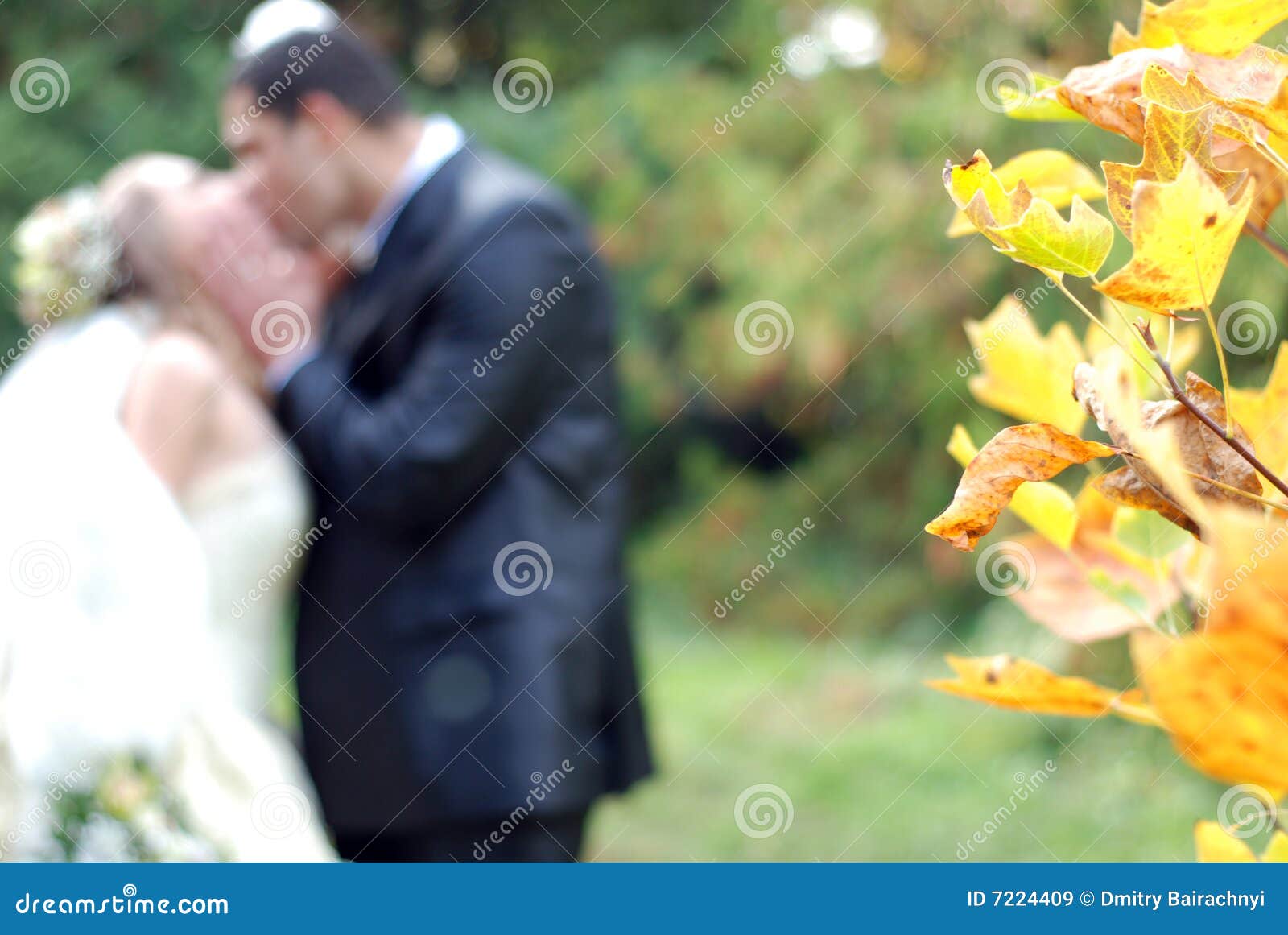 The Newly Married Couple and Nature Stock Image - Image of hair, dress