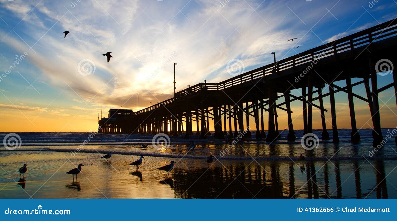newport beach california pier at sunset