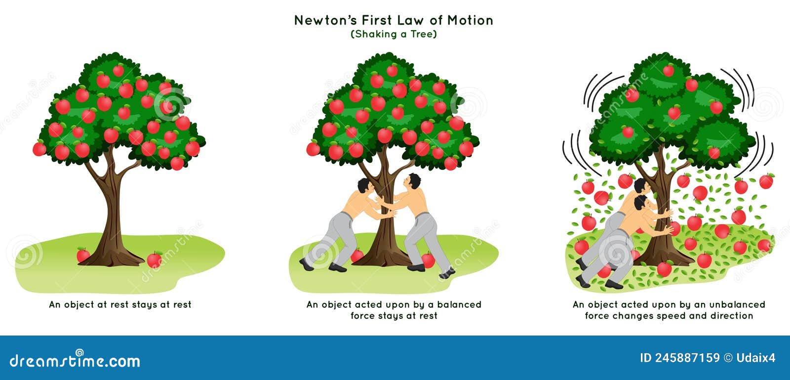 newtons first law of motion animation