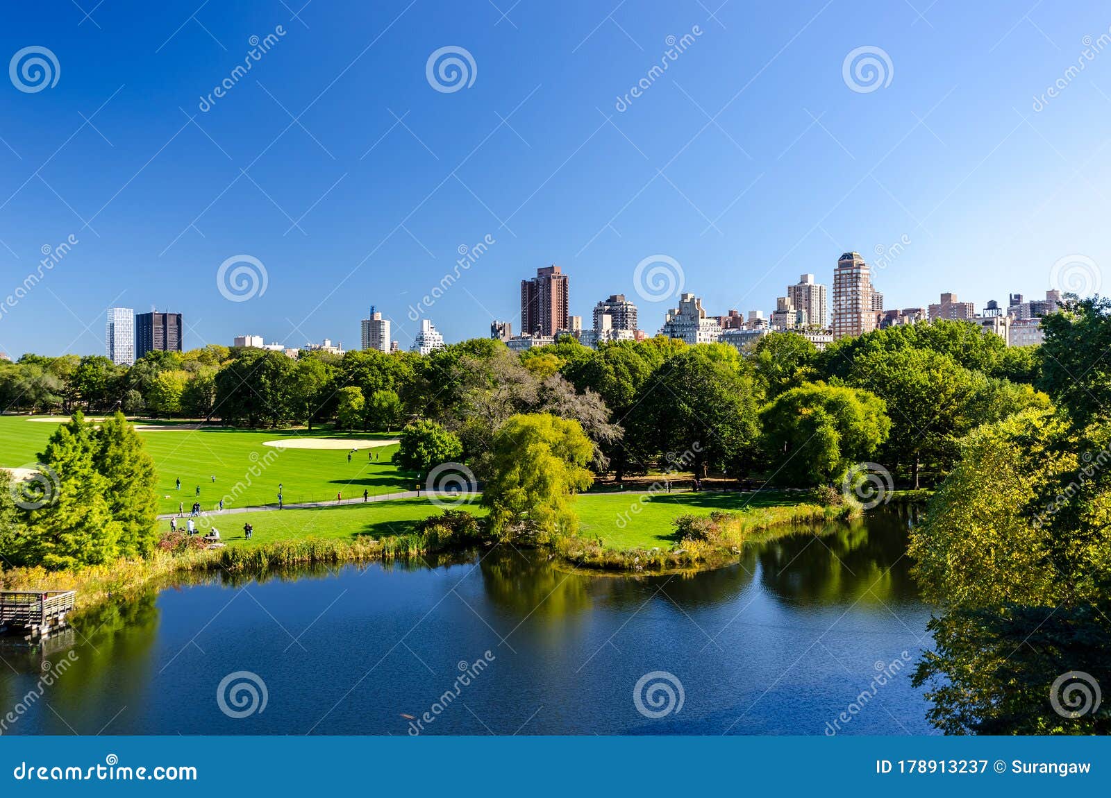 NewYork Central Park in New York City, USA Stock Image - Image of blue ...