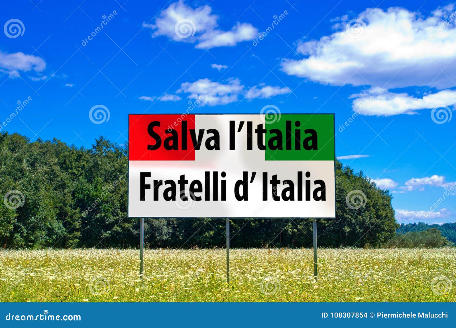 in the next elections save italy, vote fratelli d`italia, meloni