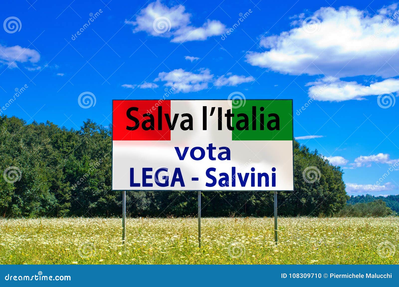 in the next elections save italy, vote lega nord, salvini