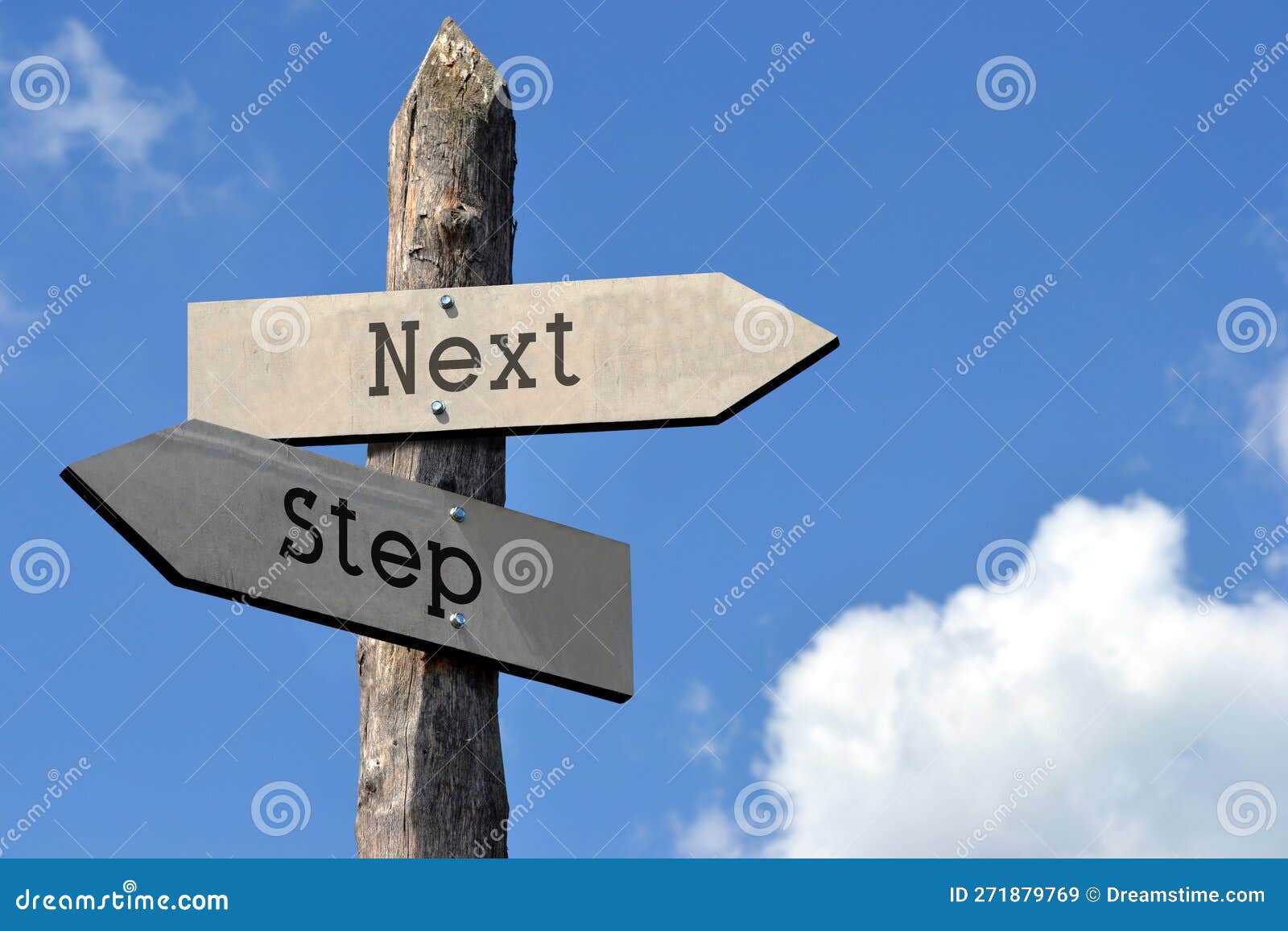 Next Step Wooden Signpost with Two Arrows Stock Illustration